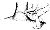 
Then change position to finish cut by "pulling chain" again.
